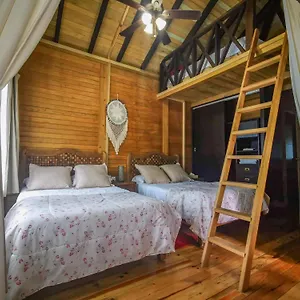 Alicat Villa Tulum